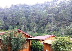 Kadirs Top Tree Houses фото 4