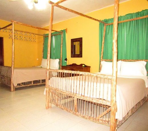 Rainforest Haven Inn
