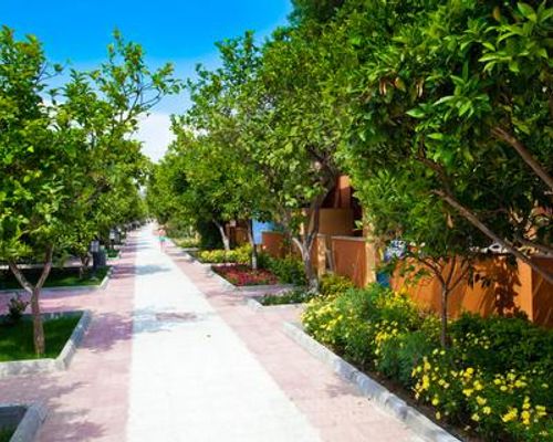 Ozlem Garden Hotel - Сиде - фото 24