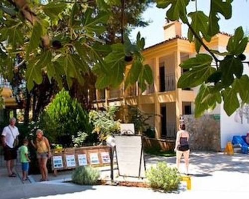 Pine Valley Hotel Oludeniz - Олюдениз - фото 1