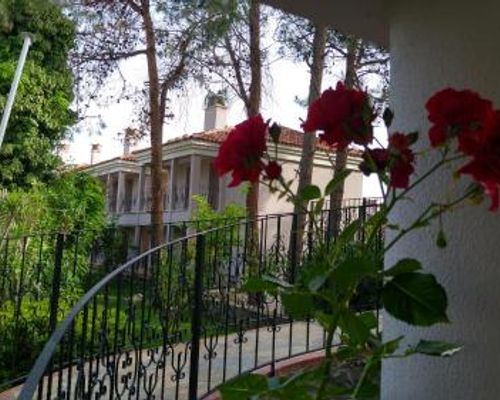 Pine Valley Hotel Oludeniz - Олюдениз - фото 24