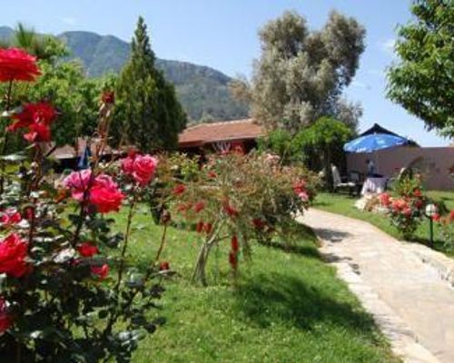 Olympos Hotel Adults Only - Олюдениз - фото 7