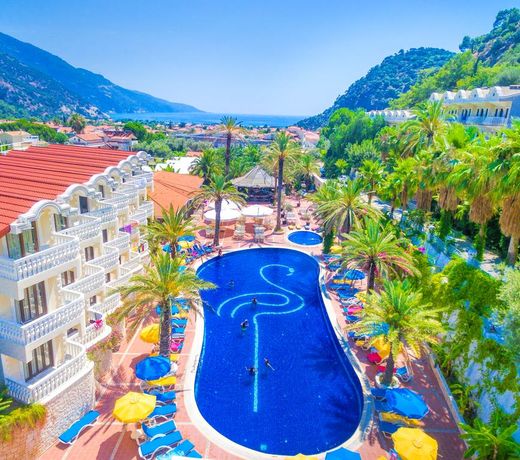 Flamingo Hotel & Spa - Pet Friendly