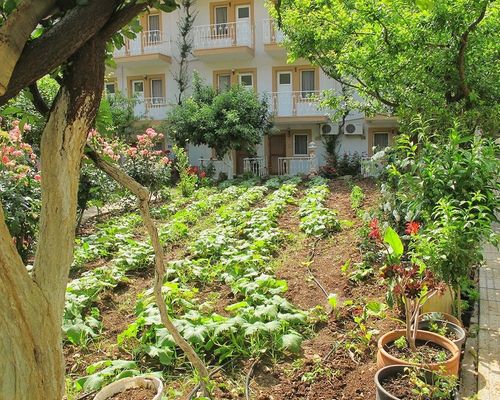 Oludeniz Manzara Hotel - Олюдениз - фото 9