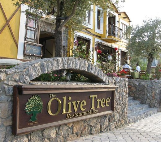 The Olive Tree Studios - Adults Only