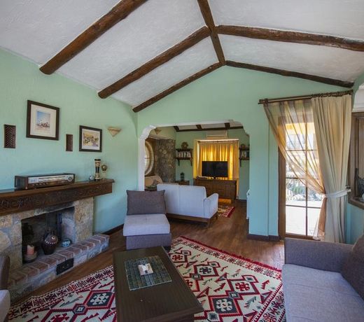 The Olive Tree Studios - Adults Only
