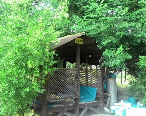 Olympos Inci Pansiyon - Олимпос - фото 1