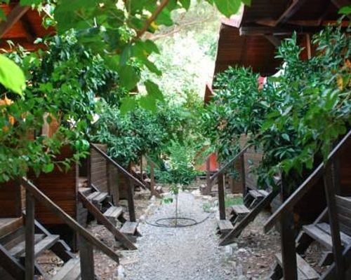 Sheriff Olympos Pension - Олимпос - фото 6