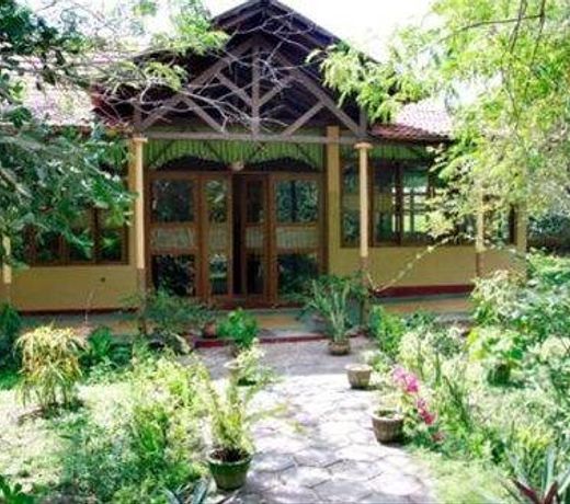 Nature Lanka Ayurveda Resort - All Meals and Ayurveda Treatments with Yoga