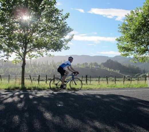 Secluded Haven Near Bush, Beach & Havelock North