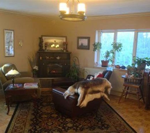 Alaska Grizzly Lodge