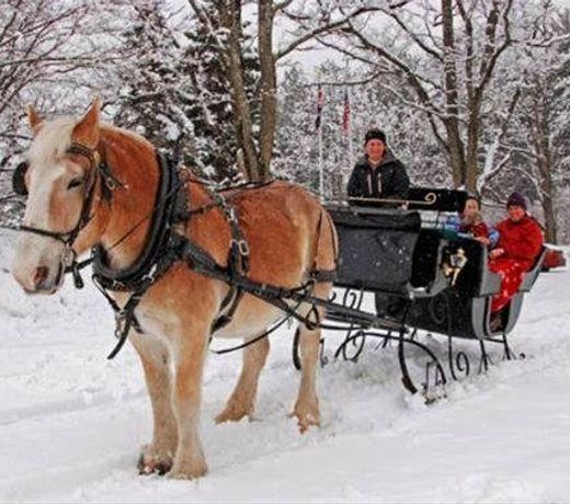FARM BY THE RIVER BED AND BREAKFAST WITH STABLES