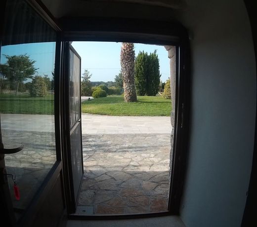 Tenuta Antico Leccio
