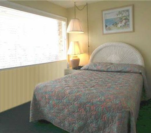 American Safari Motel