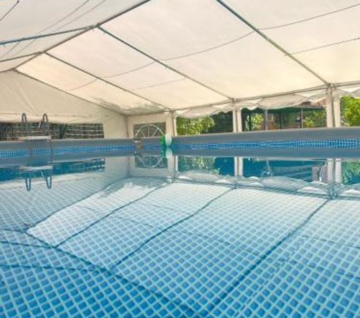 La Alpispa