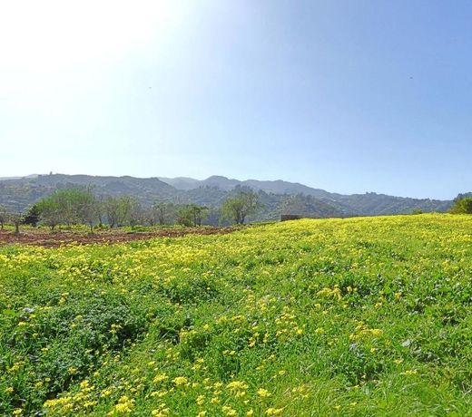 La Alpispa
