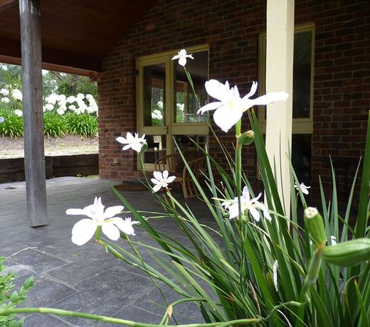 Eltham Venn Cottage Accomodation