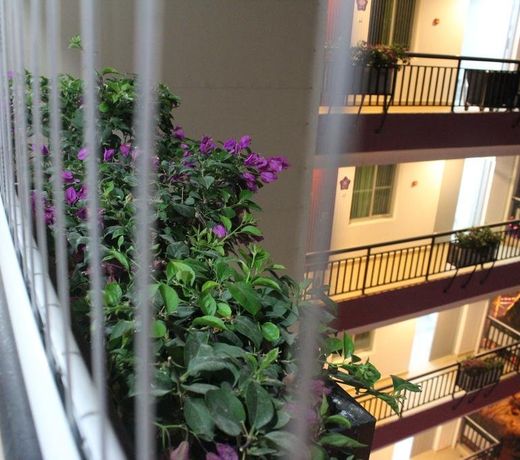Constellation Hotel