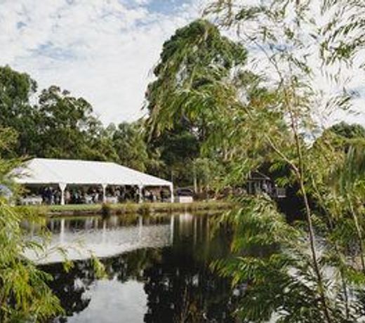 Forest Rise Chalets and Lodge