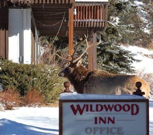 Wildwood Inn