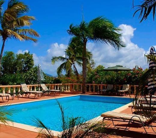 Royal Palms