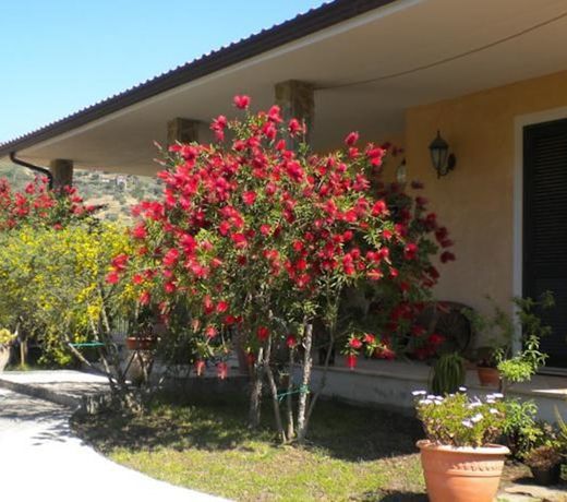 Country House La Casa In Campagna