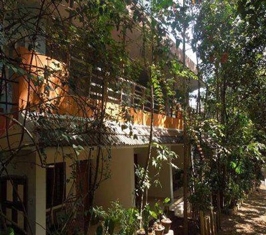 Elephant Hills Homestay