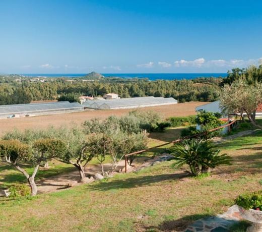 Agriturismo Gli Ulivi