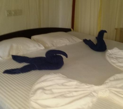 Gayana Guest House