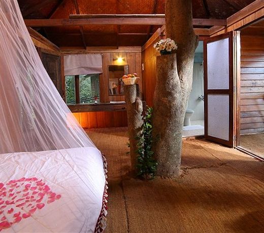 Nature Zone Jungle Resort