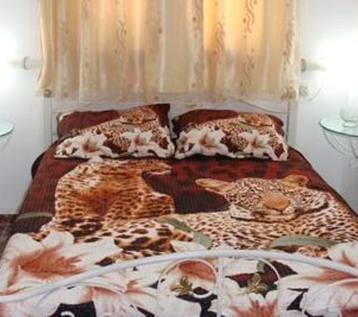 Tamer Guest house