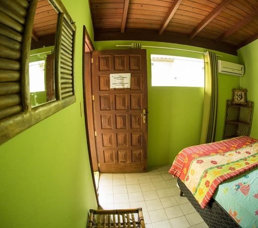 Geckos Hostel