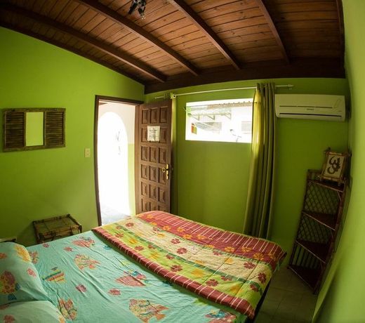 Geckos Hostel
