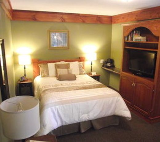 Forest Motel & Woodland Retreat