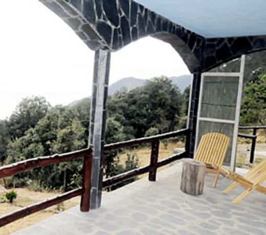 The Nest Cottages