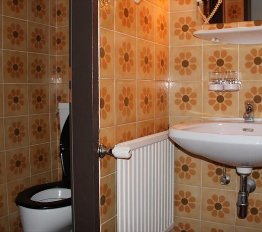 Gasthof zum goldenen Löwen