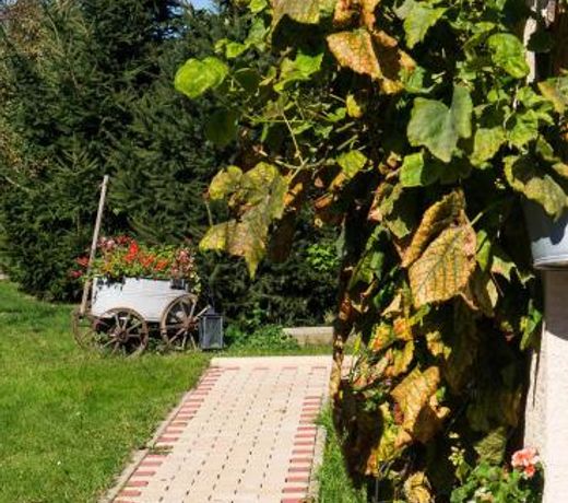 Ferienwohnung Am Elberadweg