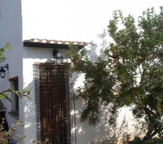 B&B Badde Cubas