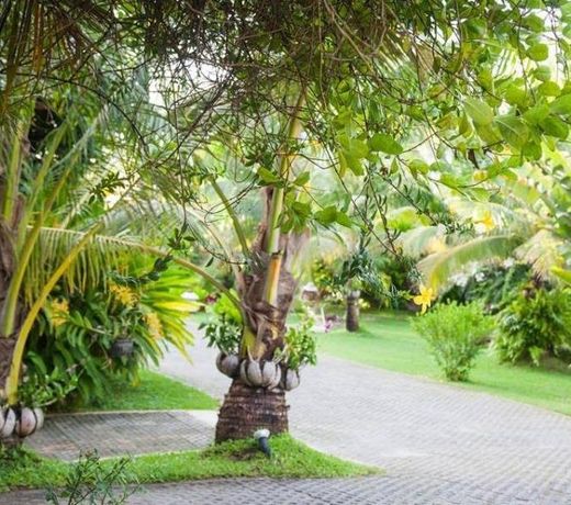 Muernfun Garden Home