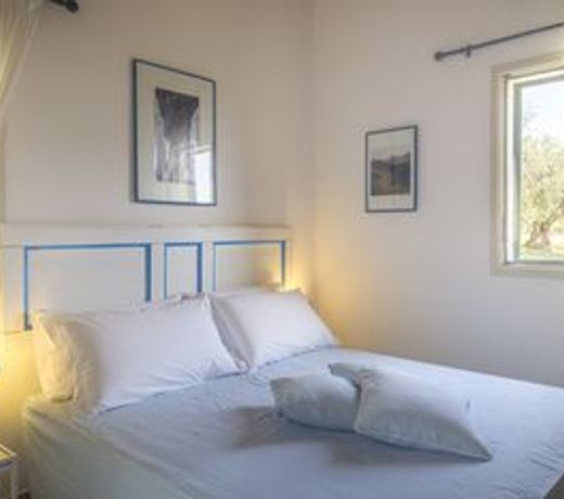 Tenuta Olive Alive