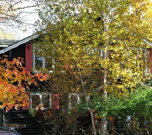 Auberge Le Lupin B&B-Self Check-in