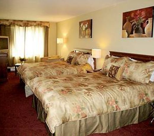 Hotel Plateau Royale