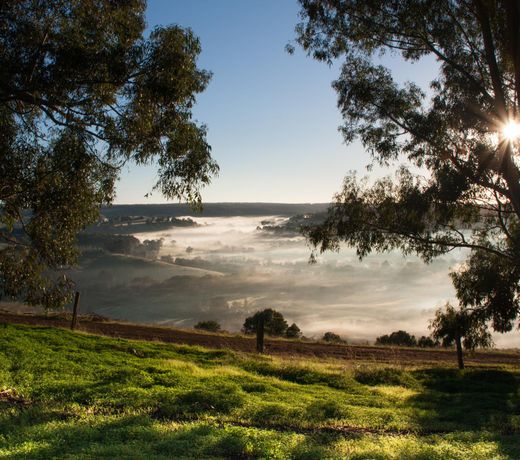 Balingup Heights Hilltop Forest Cottages