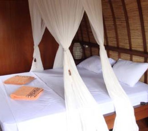 Mango Dive & Bungalow