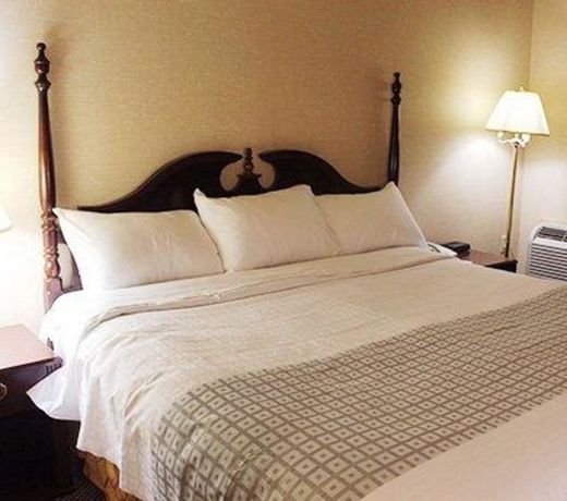 Econo Lodge City Centre