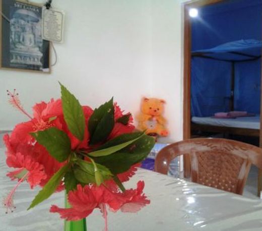 Era Holiday House