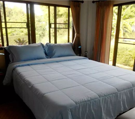 Chiang Mai's New Oasis in Ban Wangtan
