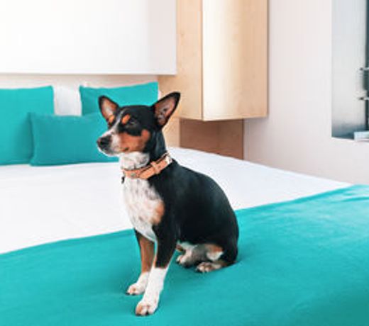 Oh! Porto Apartments
