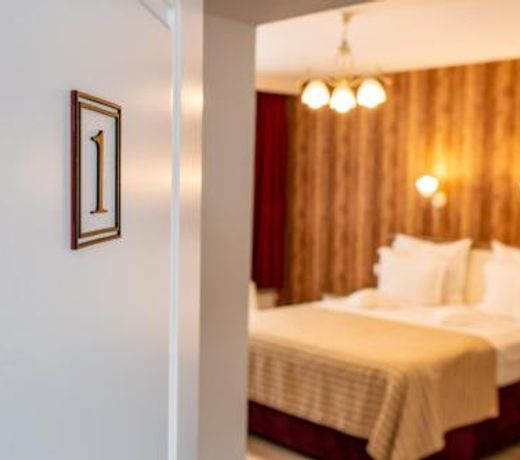 Pensiunea Carmen`s Mansion B