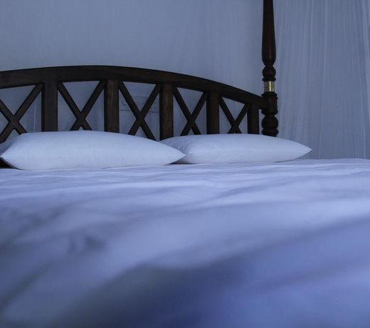 Hotel Irena